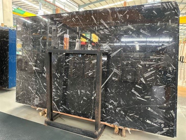Marmor Fossile Nero Fossil Black Marble Flooring
